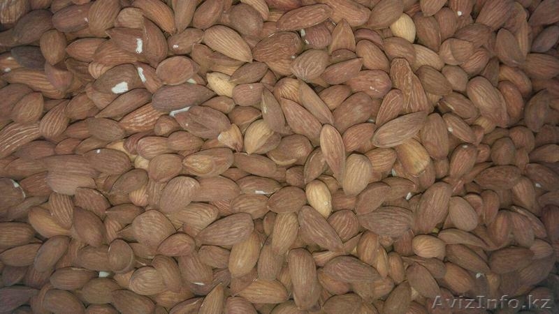 "Узагро-импортКазахстан" - Изображение #7, Объявление #1372074