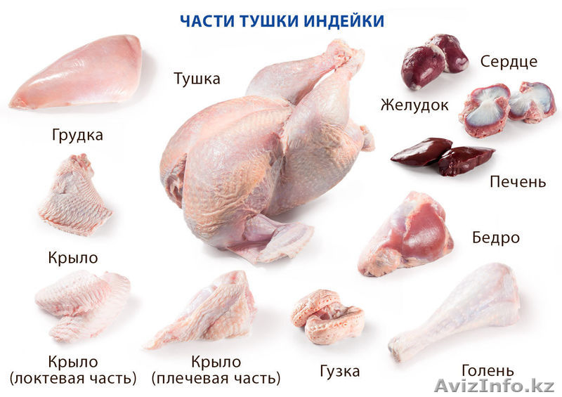 колбасные изделия с мясо индейки  - Изображение #3, Объявление #1369831