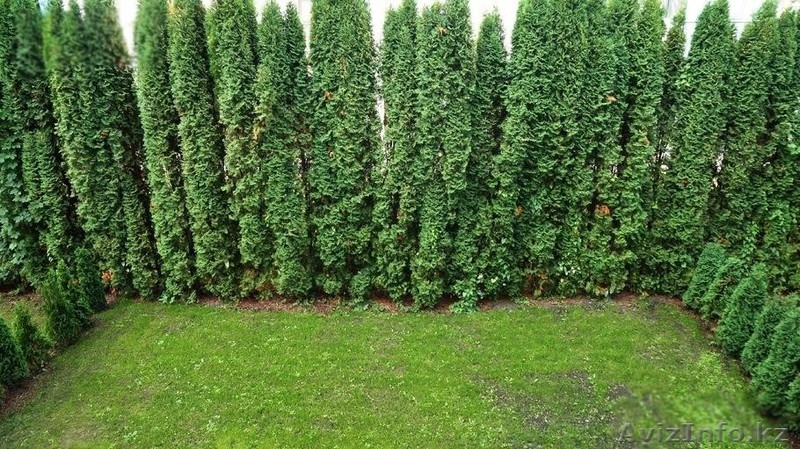 Квартира в Юрмале (Латвия) 2-я линия моря - Изображение #5, Объявление #1376150