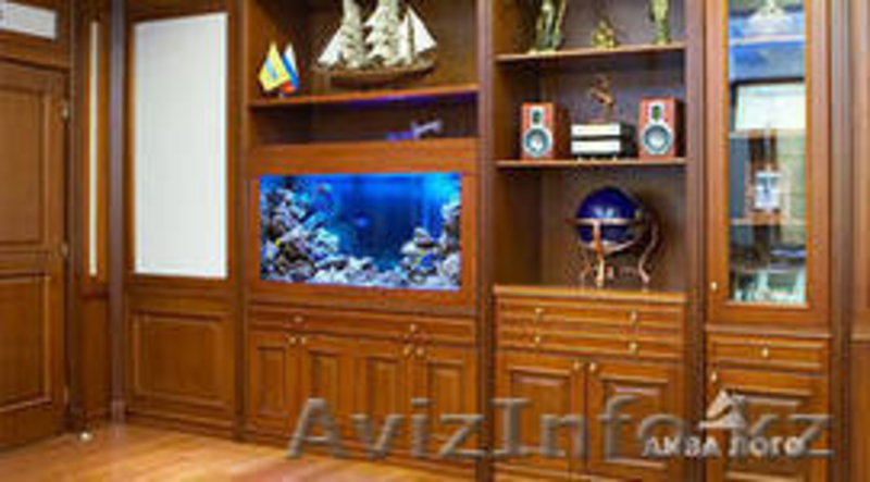 изготовление аквариумов с заселением и обслугой - Изображение #5, Объявление #1388897