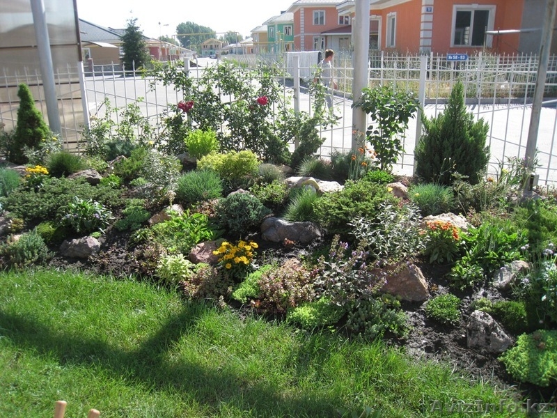Озеленение. Ландшафтный дизайн. Алматы. - Изображение #6, Объявление #1348818