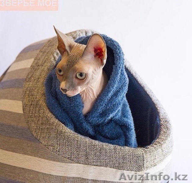 Зоотовары в Алматы - Изображение #4, Объявление #1400434