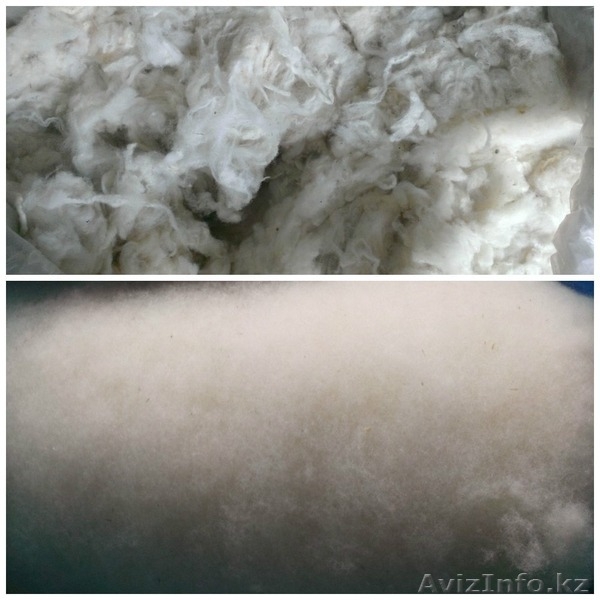Машинная ческа шерсти (в Алматы) - Изображение #4, Объявление #1402536