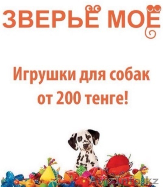 Зоотовары в Алматы - Изображение #5, Объявление #1400434