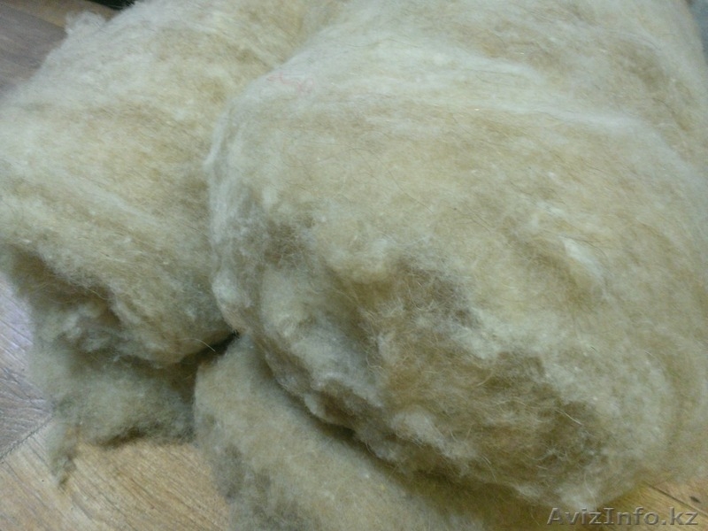 Машинная ческа шерсти (в Алматы) - Изображение #5, Объявление #1402536