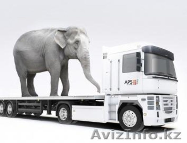 Грузоперевозки по низким ценам в Казахстане междугородние перевозки авто,авиа,жд - Изображение #2, Объявление #1422153