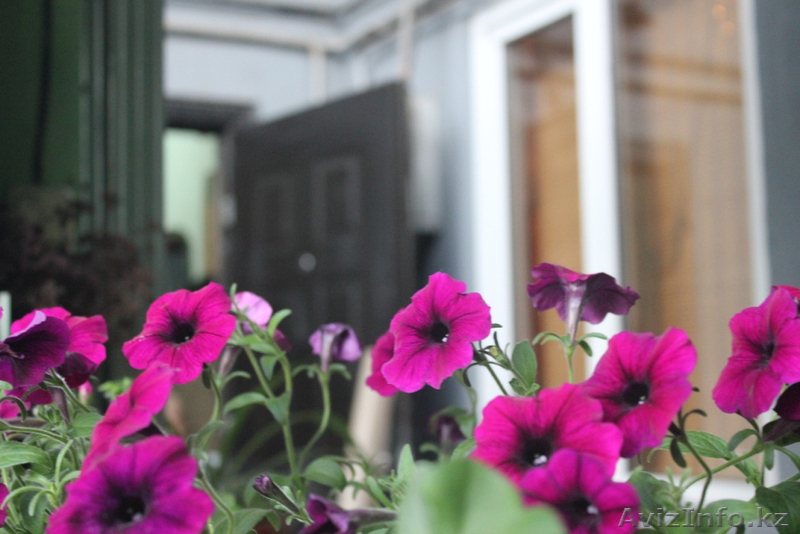 Койко-место в хостеле - Изображение #1, Объявление #1442370