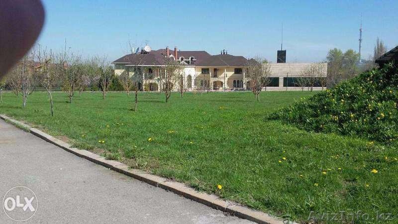 Покос травы, газона. Уборка на участке - Изображение #1, Объявление #1436668