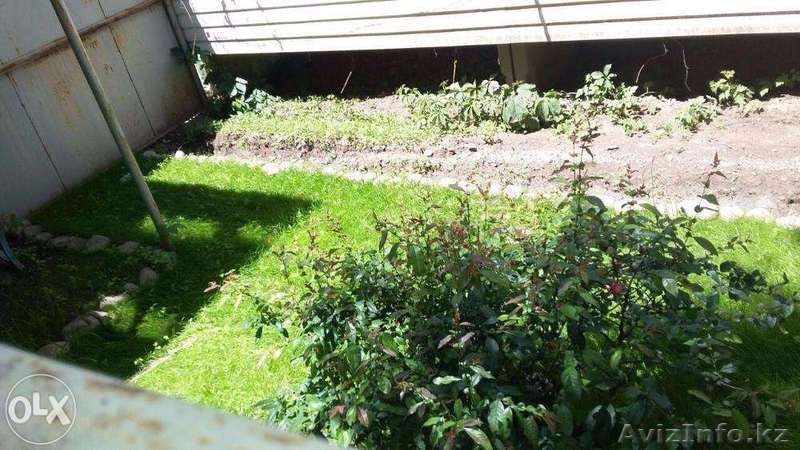 Покос травы, газона. Уборка на участке - Изображение #6, Объявление #1436668