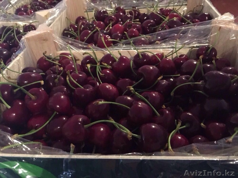 Продаем черешню из Испании - Изображение #3, Объявление #1444355