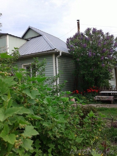 Продам дом //////////////////// - Изображение #3, Объявление #1427412