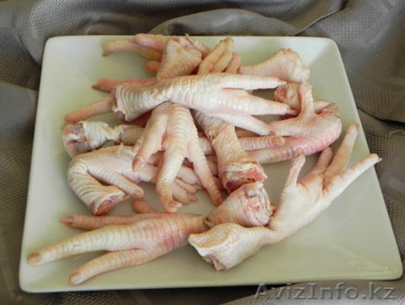 Курица Ардагер оптом  - Изображение #3, Объявление #1451141