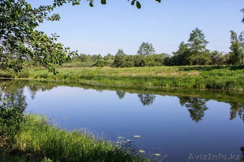 База отдыха в лесу у реки рядом с Бобруйском - Изображение #5, Объявление #1448834