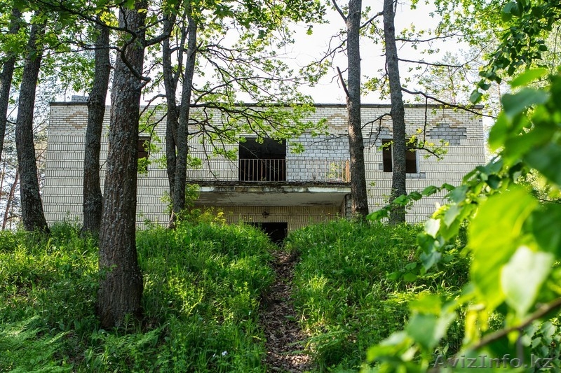 База отдыха в лесу у реки рядом с Бобруйском - Изображение #4, Объявление #1448834