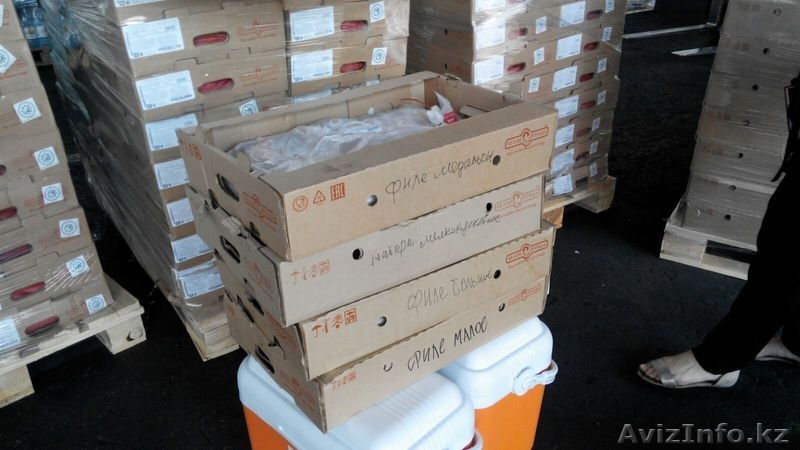 Компания ТОО "ТГС2000" - Изображение #3, Объявление #1459461