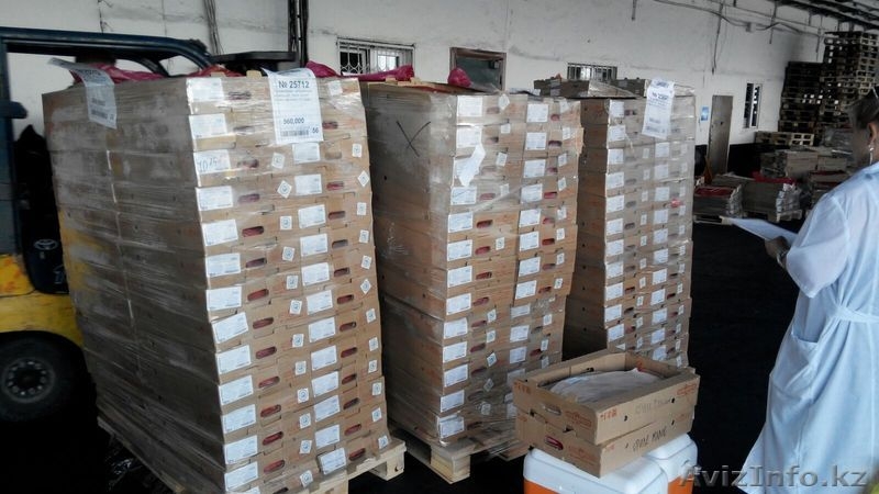 Компания ТОО "ТГС2000" - Изображение #4, Объявление #1459461