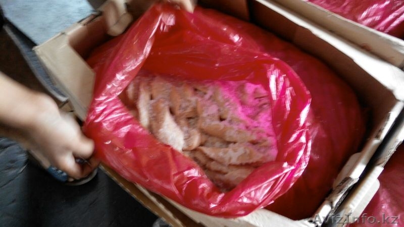 Компания ТОО "ТГС2000" - Изображение #5, Объявление #1459461