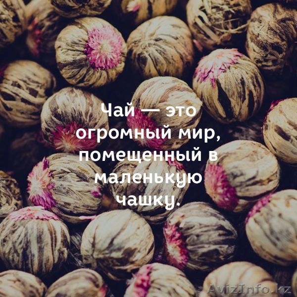 Натуральный китайский чай в Алматы!  - Изображение #5, Объявление #1459725