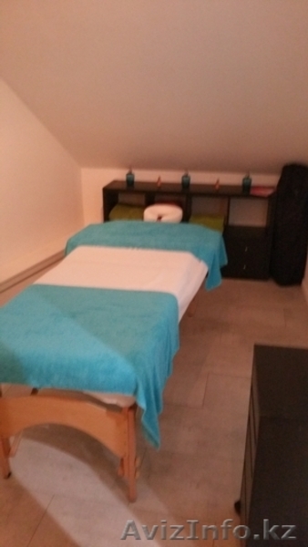 Инвестиционная иммиграция в Нидерланды - Изображение #5, Объявление #1449560