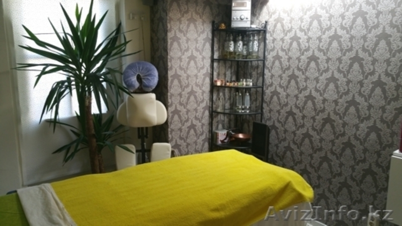 Инвестиционная иммиграция в Нидерланды - Изображение #10, Объявление #1449560