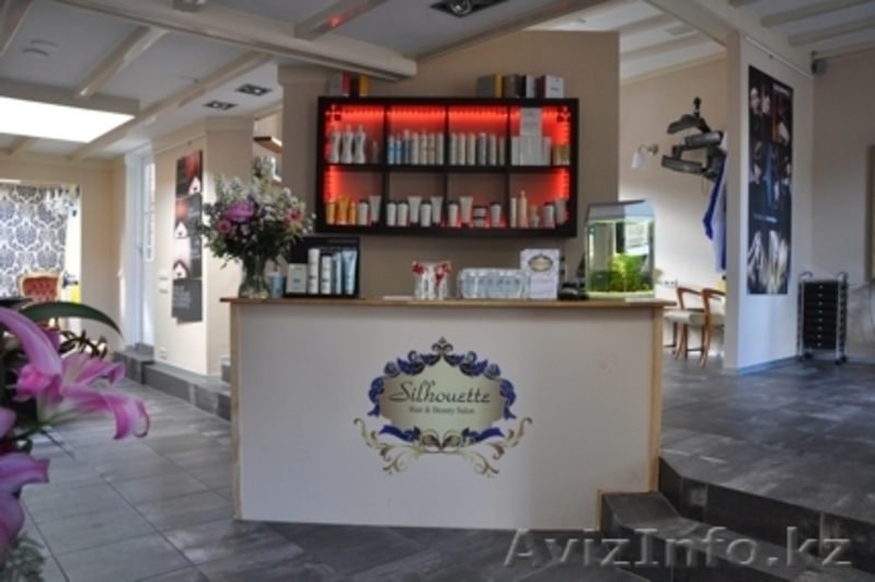 Инвестиционная иммиграция в Нидерланды - Изображение #6, Объявление #1449560