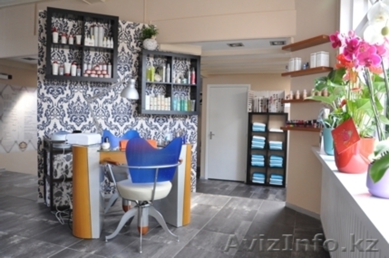 Инвестиционная иммиграция в Нидерланды - Изображение #7, Объявление #1449560