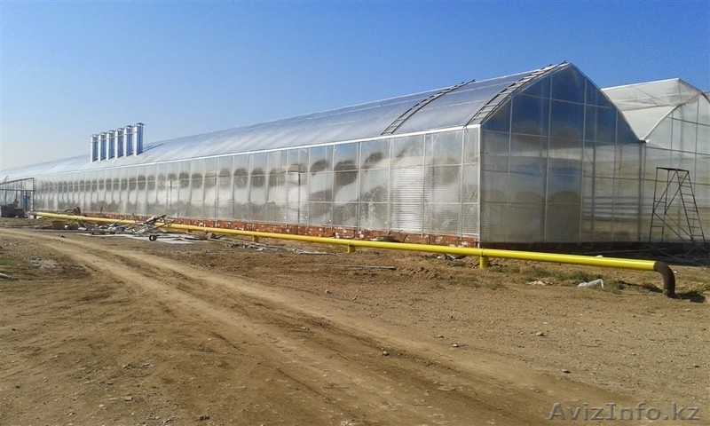 Производство и установка теплиц - Изображение #5, Объявление #1466593