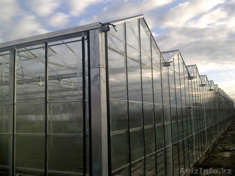 Производство и установка теплиц - Изображение #2, Объявление #1466593