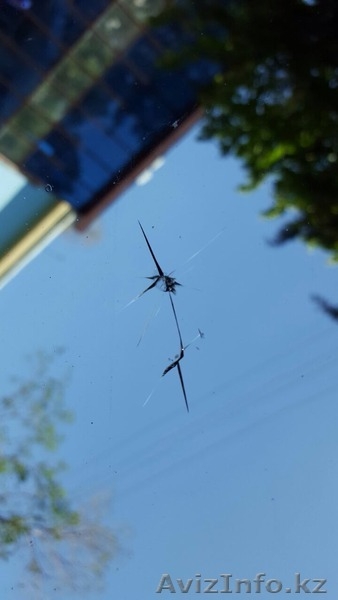 Ремонт лобовых стекол. Сколы и трещины. - Изображение #2, Объявление #1469211