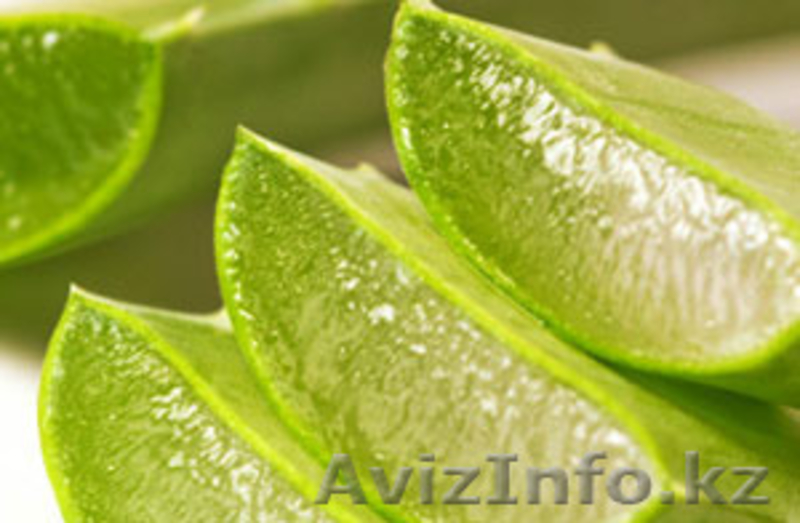 Питьевой гель Алоэ Вера Мед от LR - Изображение #4, Объявление #1461510