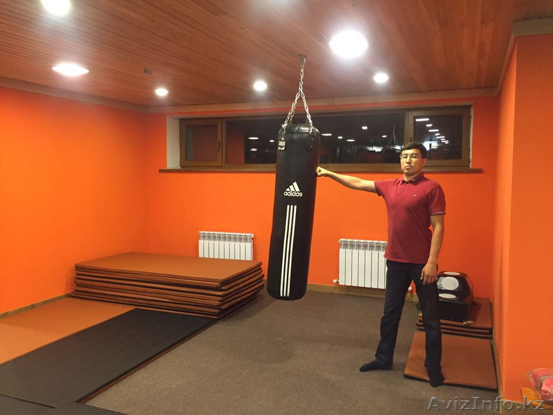 Маты Спортивные профессиональные - Изображение #3, Объявление #1483940