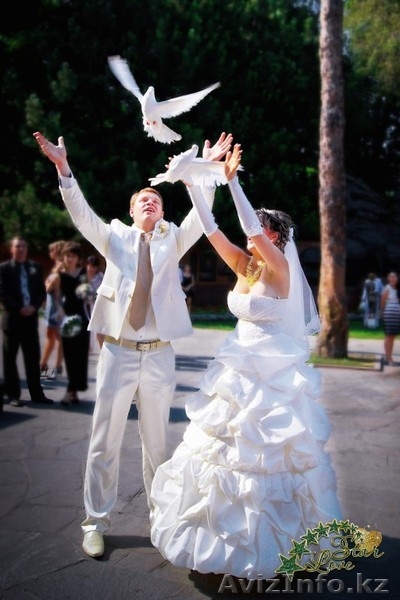 Профессиональная Фото и Видео съемка различных торжеств в Алматы - Изображение #1, Объявление #1492973