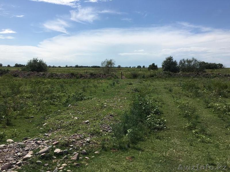 Продаем земельный участок 30 га К/Х - Изображение #6, Объявление #1493624