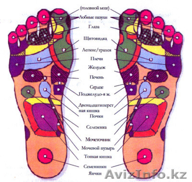 Массажер для тело и здоровья - Изображение #2, Объявление #1491647