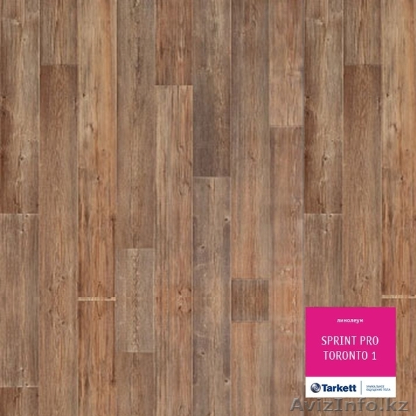 Купить полукоммерческий линолеум Tarkett Sprint Pro  - Изображение #2, Объявление #1501644