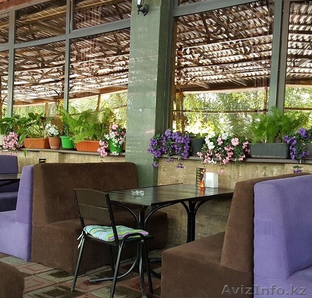 Продаю действующий бизнес кафе - Изображение #5, Объявление #1497676