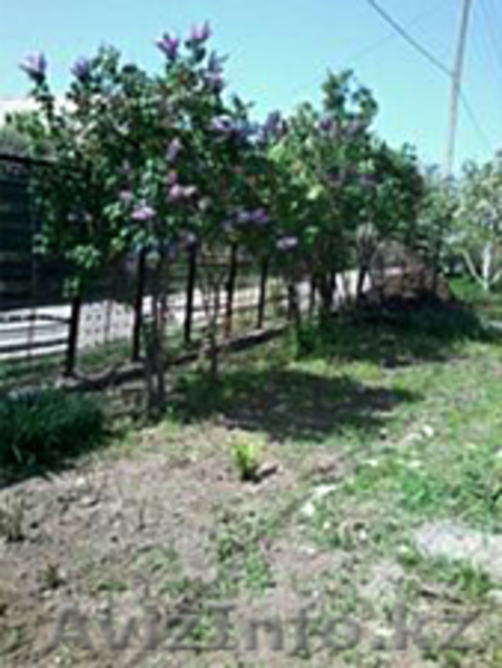 продам дачу срочно и недорого - Изображение #4, Объявление #1495401