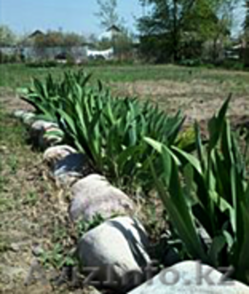 продам дачу срочно и недорого - Изображение #8, Объявление #1495401