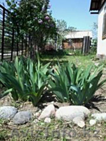 продам дачу срочно и недорого - Изображение #6, Объявление #1495401