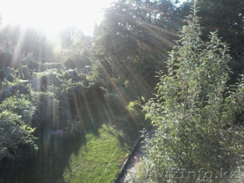 Продам срочно дом в мкр. Алатау (с/т Мичуринец) - Изображение #6, Объявление #1503780