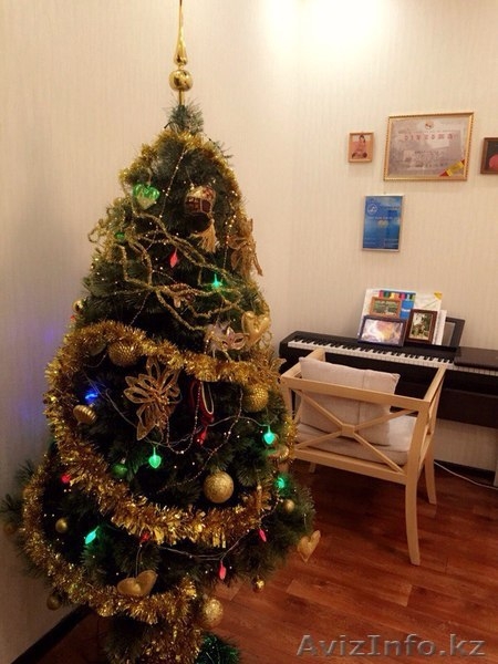 Где купить хорошую елку? - Изображение #3, Объявление #1508053