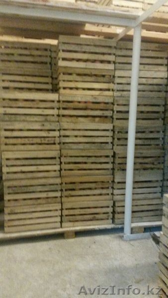 ТОО Агропромэнерго-К - Изображение #2, Объявление #1511493