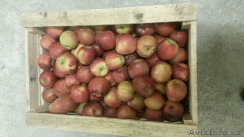 ТОО Агропромэнерго-К - Изображение #1, Объявление #1511493