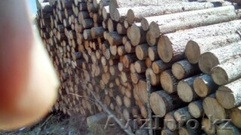  Предлагаю по ведению бизнеса - Изображение #3, Объявление #1515374