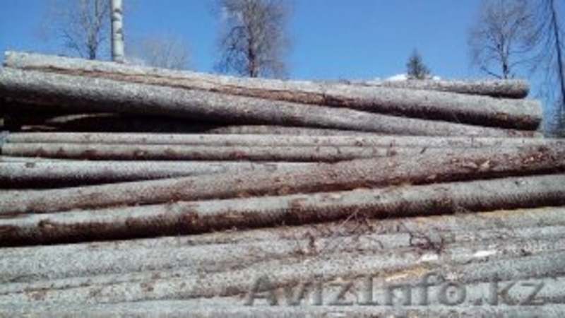  Предлагаю по ведению бизнеса - Изображение #2, Объявление #1515374