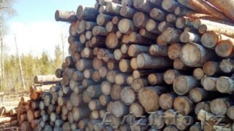  Предлагаю по ведению бизнеса - Изображение #1, Объявление #1515374