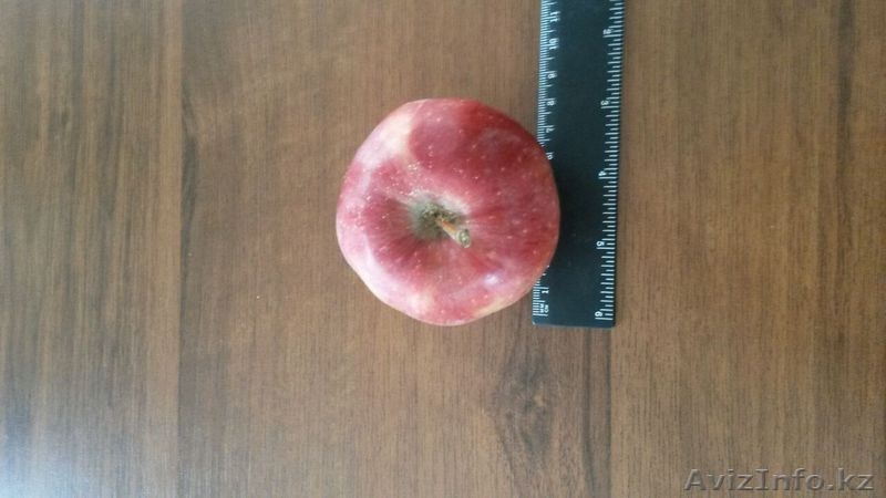 ТОО Агропромэнерго-К - Изображение #5, Объявление #1511493