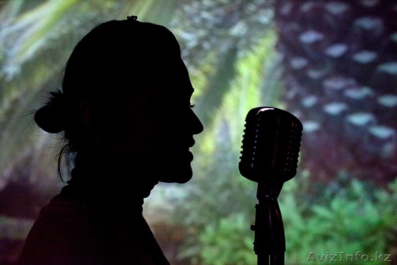 Караоке в DVD Записываю Диски  - Изображение #8, Объявление #1526052