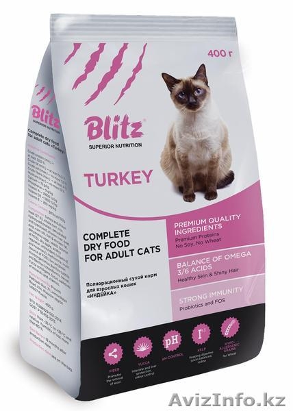 Blitz, Блиц, Blitz, Блиц - Изображение #3, Объявление #1524576