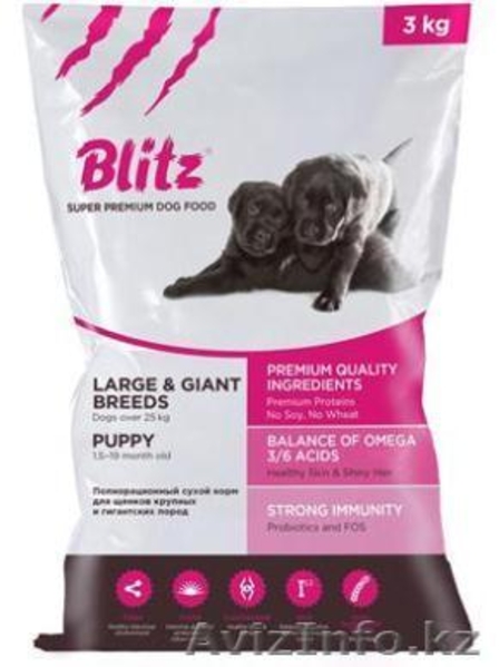 Blitz, Блиц, Blitz, Блиц - Изображение #4, Объявление #1524576